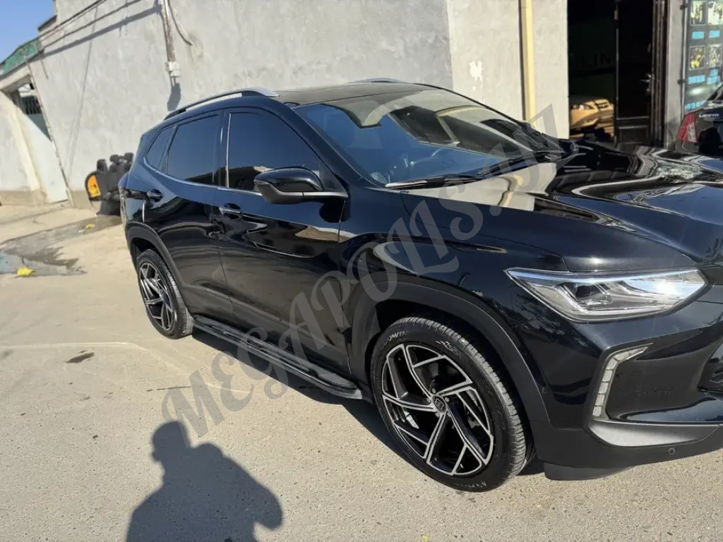 TRACKER PREMIER краска тозза 2023