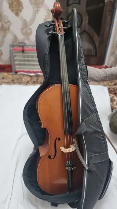 Violanchel Savetskiy