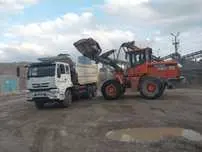 Шебен Клинес  Sheben Klinis