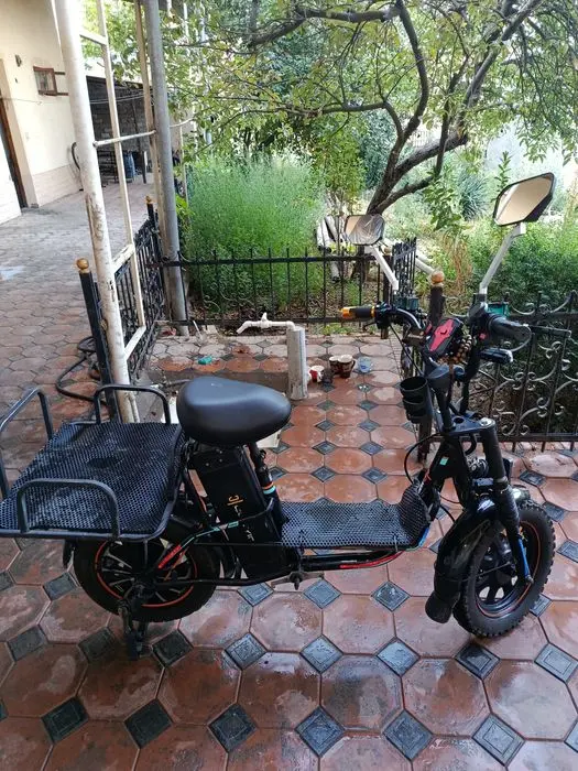 Eliktro sukuter velo