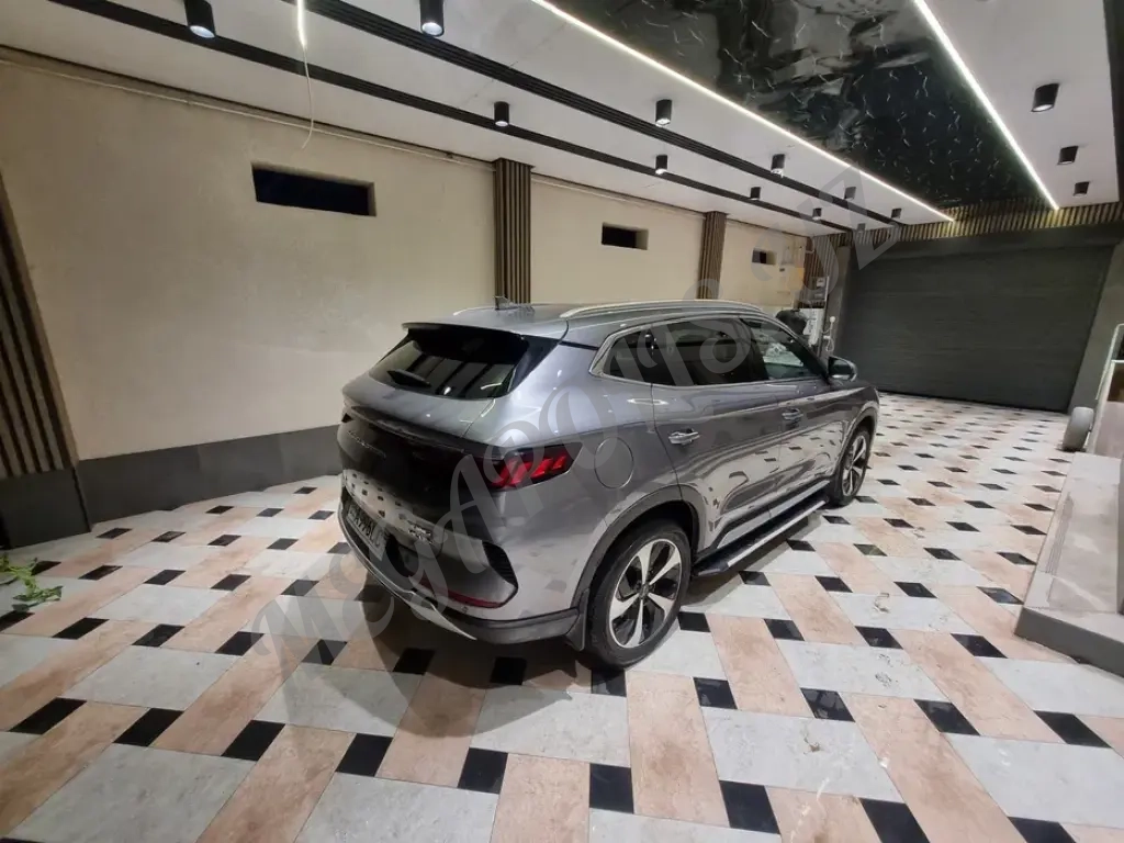 BVD song plus гибрид