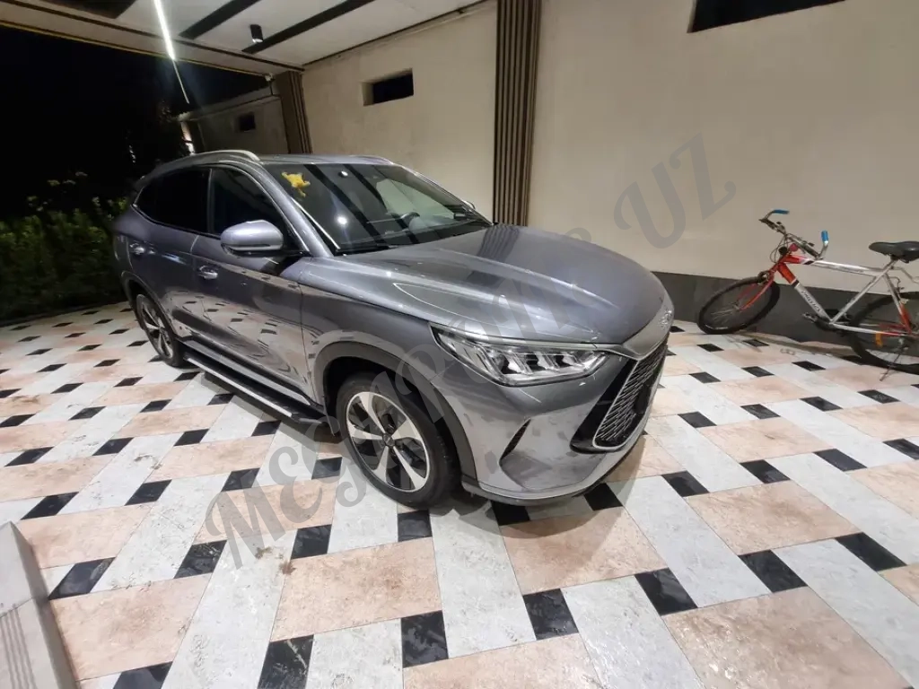 BVD song plus гибрид