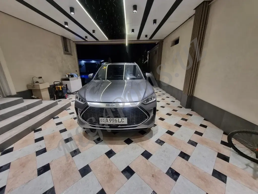 BVD song plus гибрид