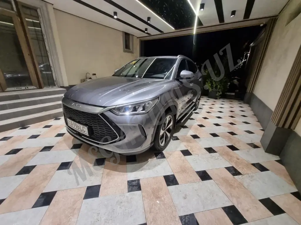 BVD song plus гибрид