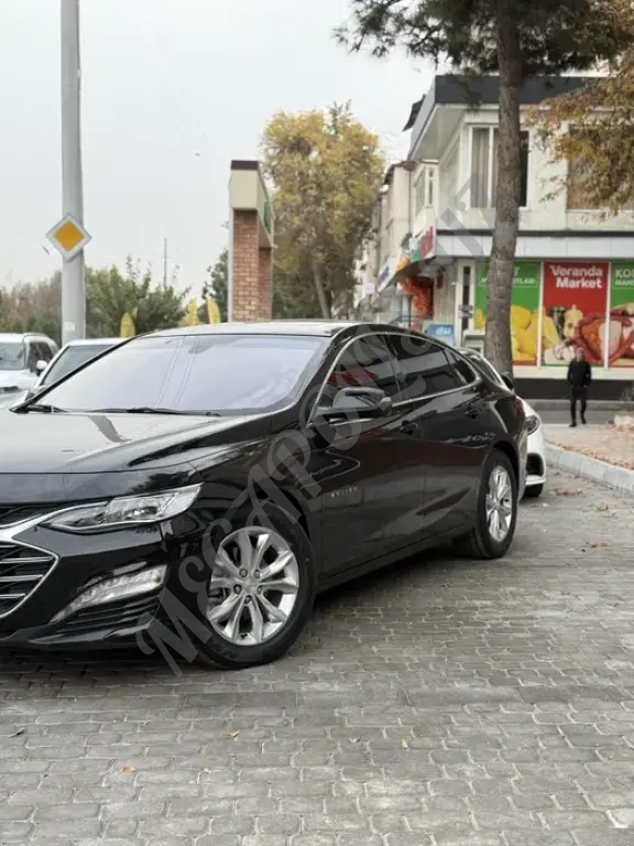 Malibu premier holati tinu moshina 2022