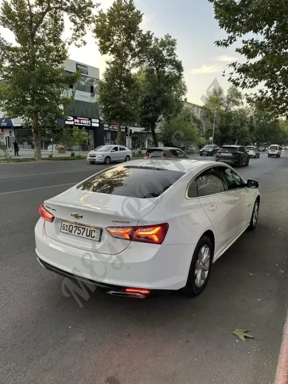 Malibu premier oq 2020