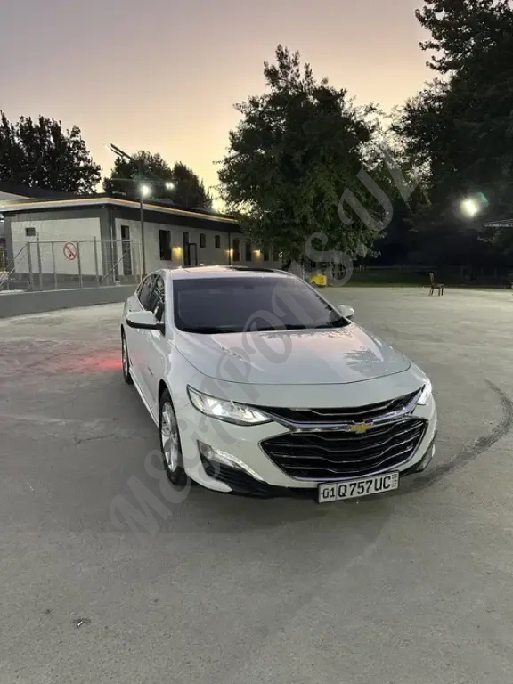 Malibu premier oq 2020