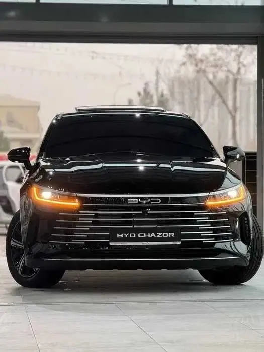 BYD Chazor Full Flagship 110 km