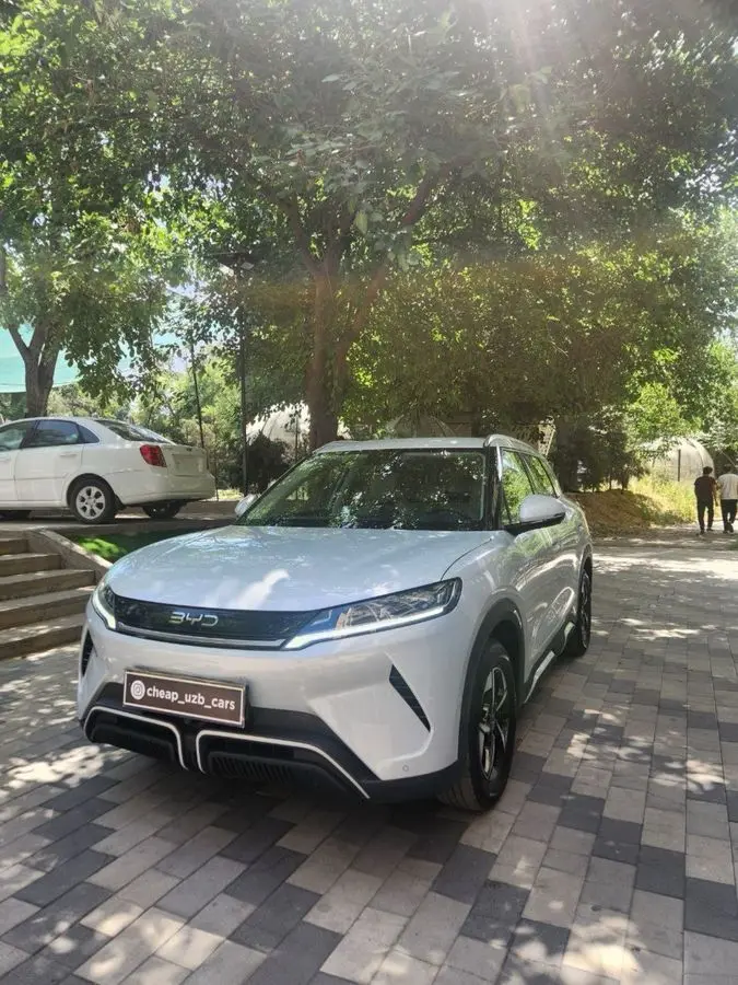 BYD Yuan Up  2025 yil