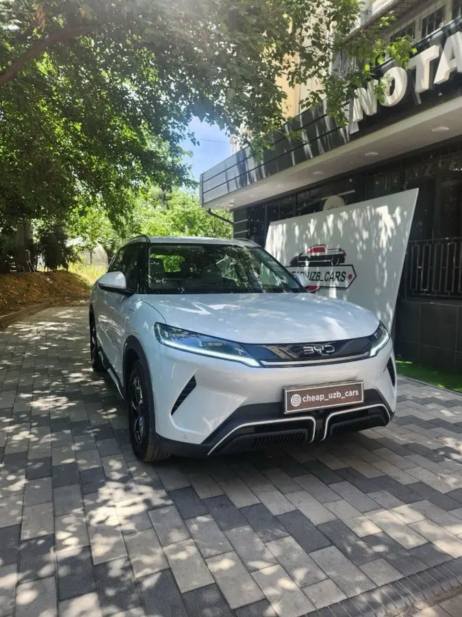 BYD Yuan Up  2025 yil