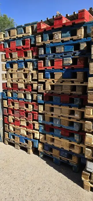 Paddon  Standart  ne Standart