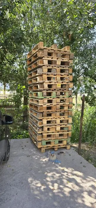 Paddon  Standart  ne Standart