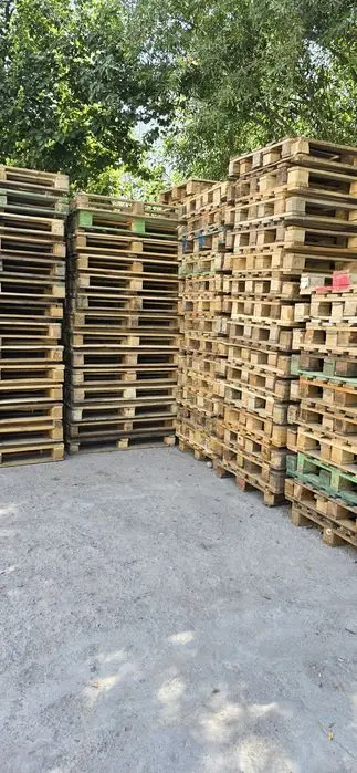 Paddon  Standart  ne Standart