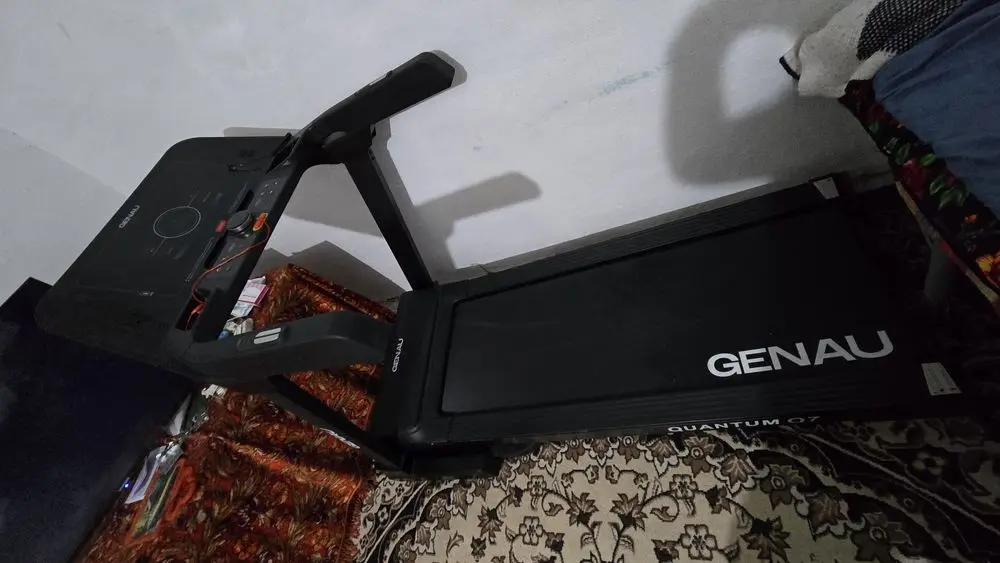 Begavoy darojka 170kg lik