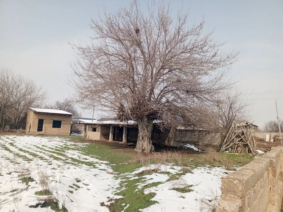Uchaska sotiladi
