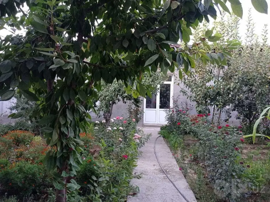 Ko'ksaroyda hovli sotiladi