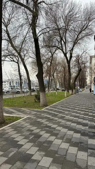 Срочно Продажа Нежилое Помещение Северный Вокзал