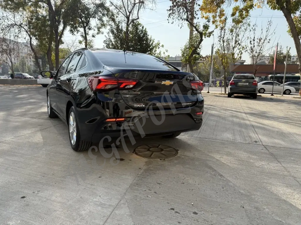 Оникс пример. Onix premier