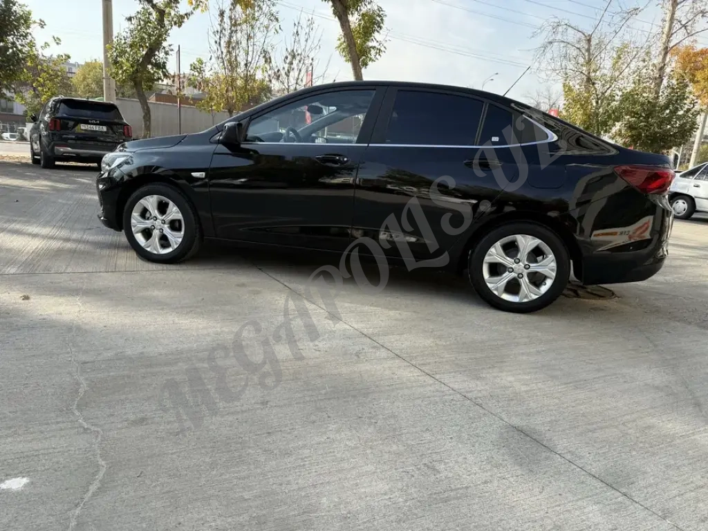 Оникс пример. Onix premier