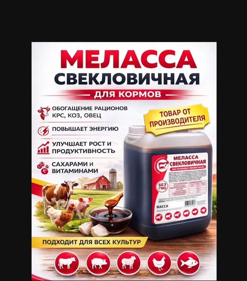 Меласса патика 4000 сум  казахстандан келтирилган свёколний 1 кг 4000с