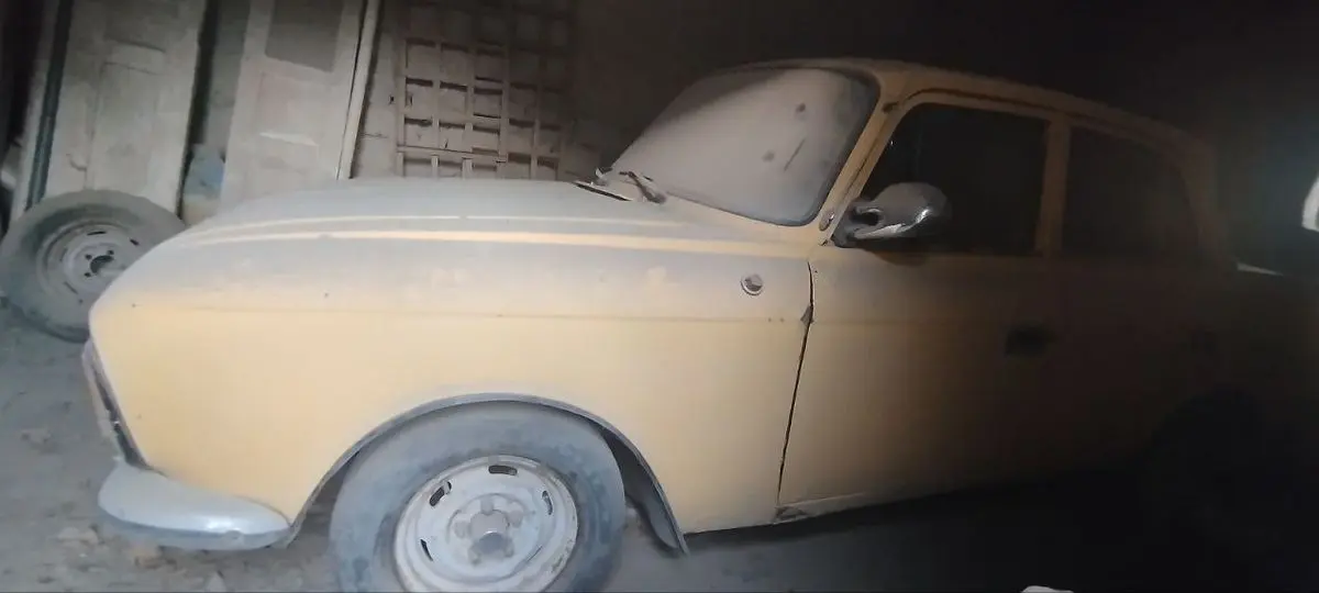 Maskvich sariq holati zoʻr telda yana kelishtrib beriladi tel qlila