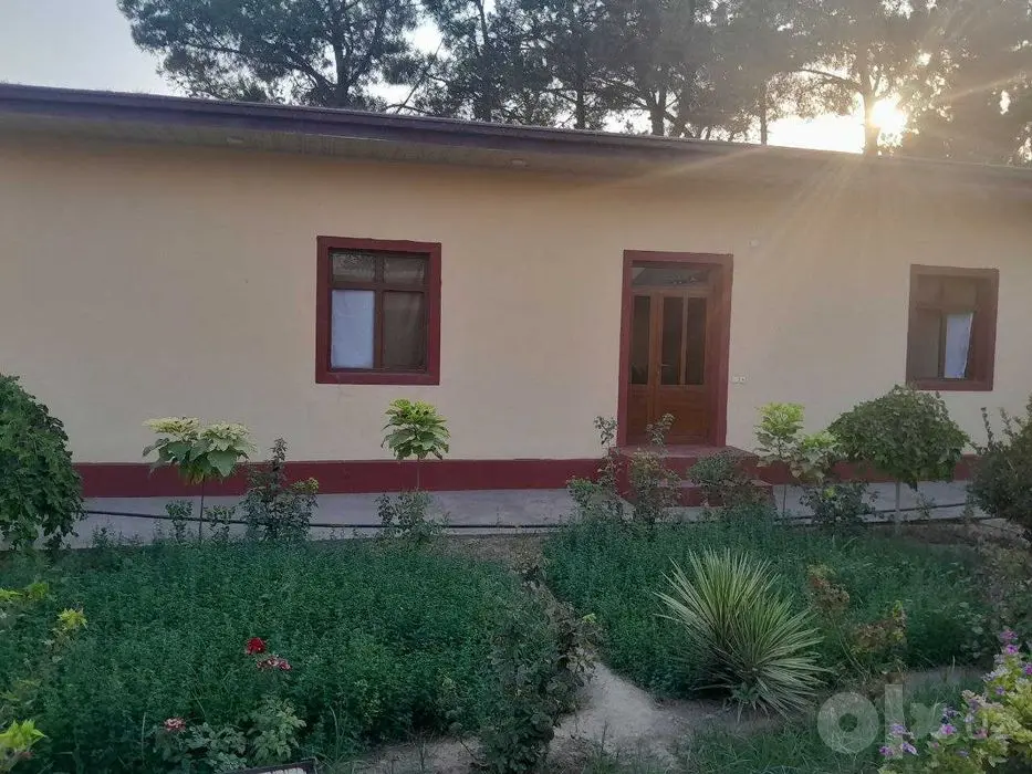 Termiz tuman Uchqizil MFYda 8 sotixli uy sotiladi