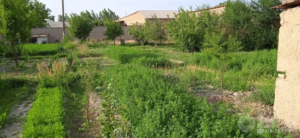 Zudlik bilan Chelak shaxarchasida 20 sotix Xovli sotiladi xovli