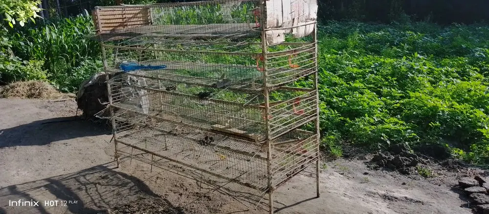 Бедана кафас сотилади 400 йоки 500та бедана бокса болади Темир хаммаси