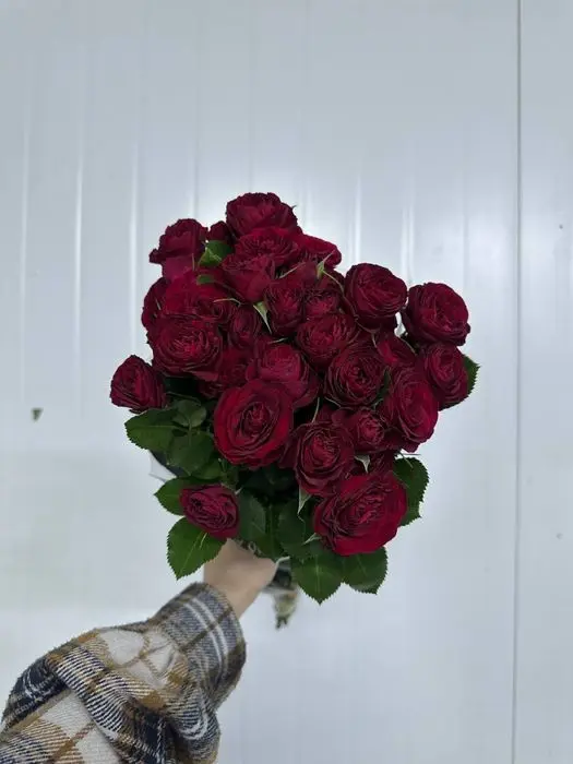 Розы всех сортов в ассортименте!