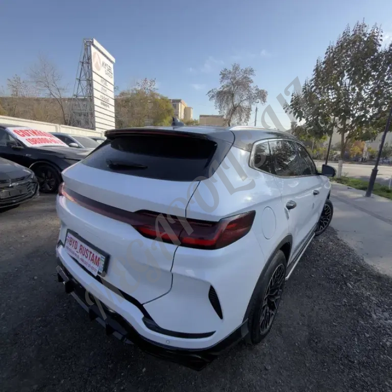 BYD champion honor 605 фулл