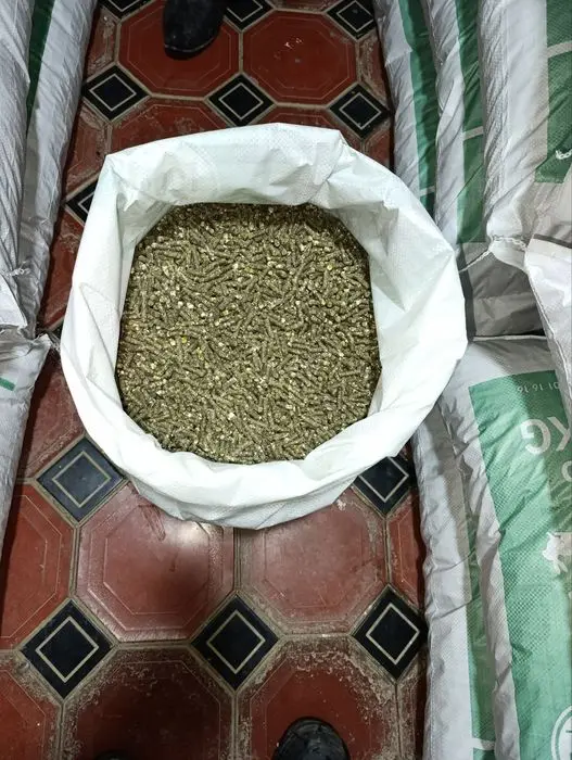 Chorva mollari uchun sifatli ozuqa