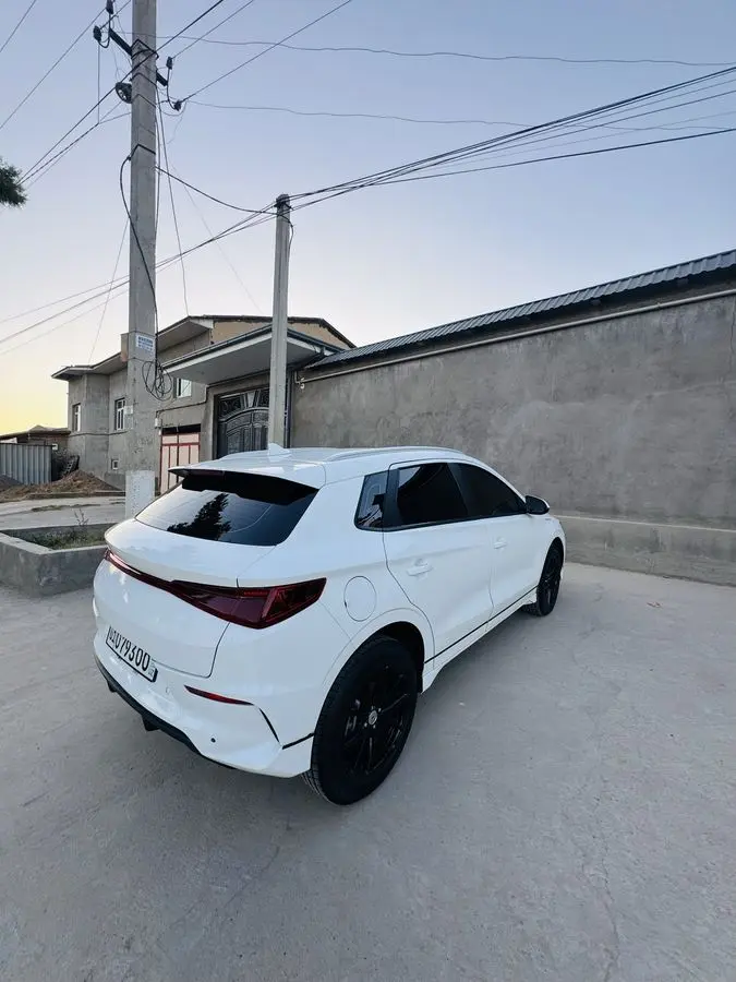 Byd e 2 Xolati zo’r 13800$