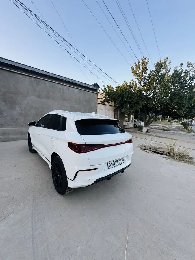 Byd e 2 Xolati zo’r 13800$