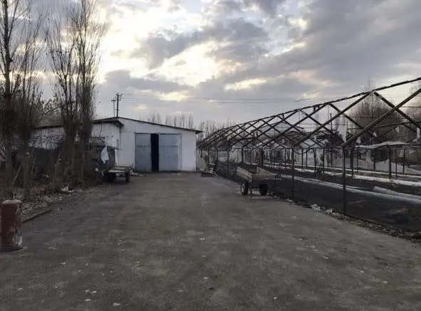 Продам 2 гектара земли Сурум махаля 900 метров от кольцевой дороги