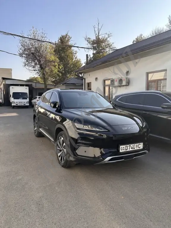 BYD 2023 yil qora
