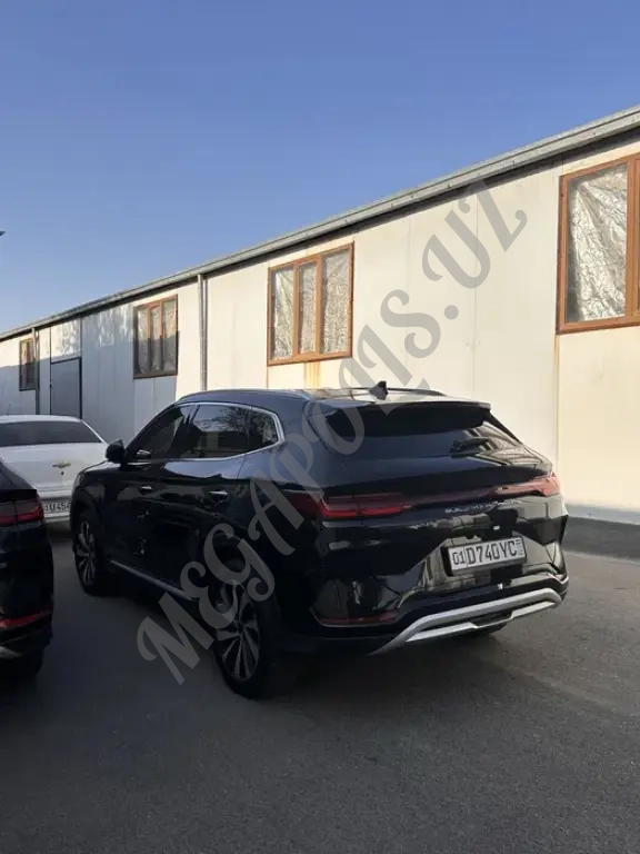 BYD 2023 yil qora