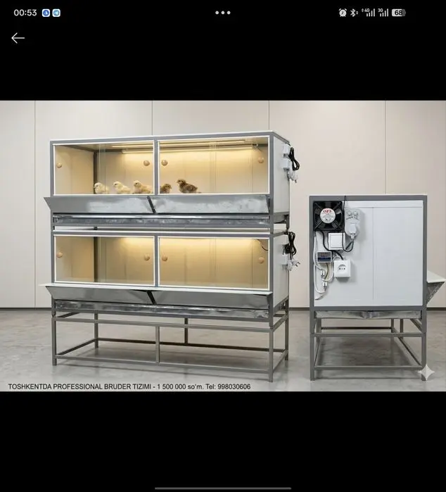 Bruder, брудер, jo‘jalar uchun, жўжалар учун