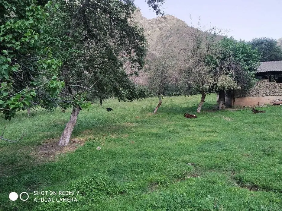 Koʻchmas mulk yer maydoni sotiladi