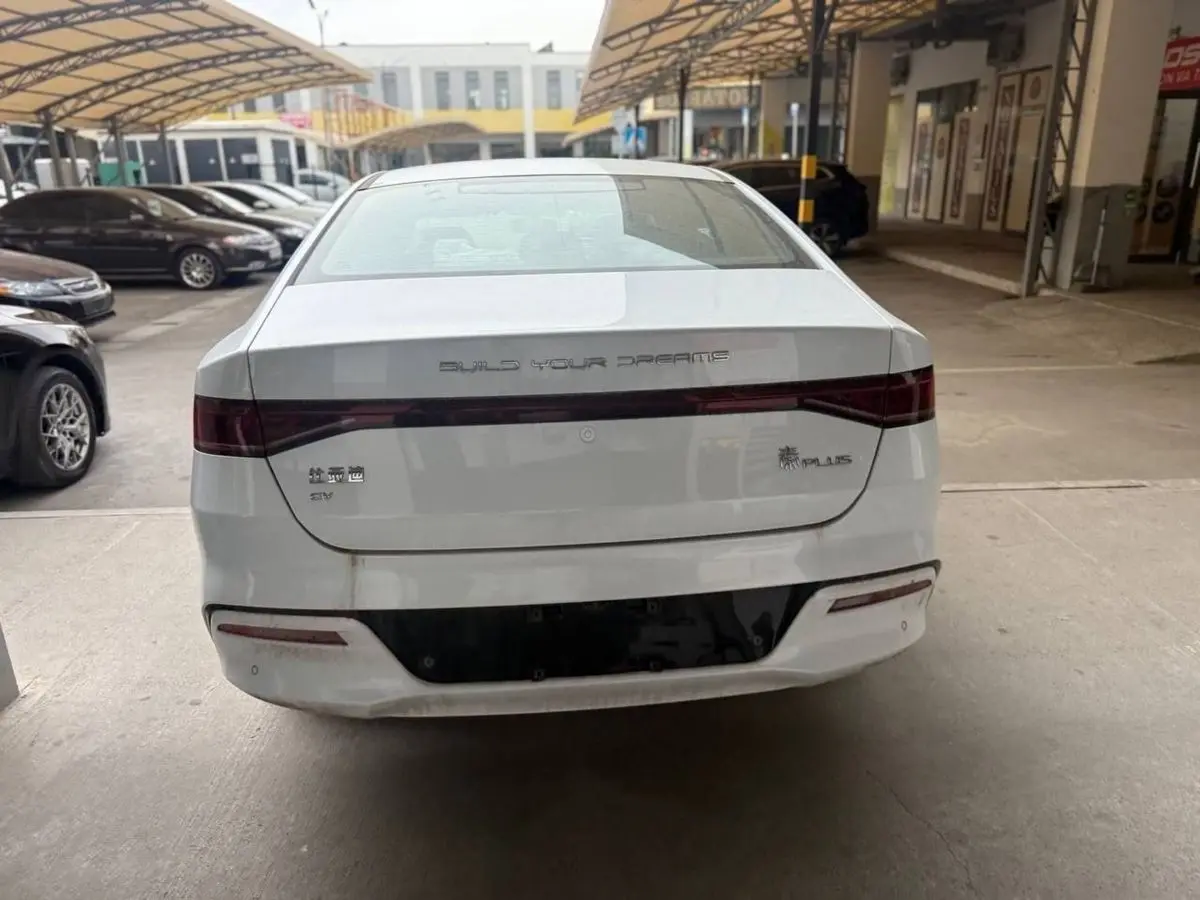 Byd Chin+Plus 3.300$ bilan