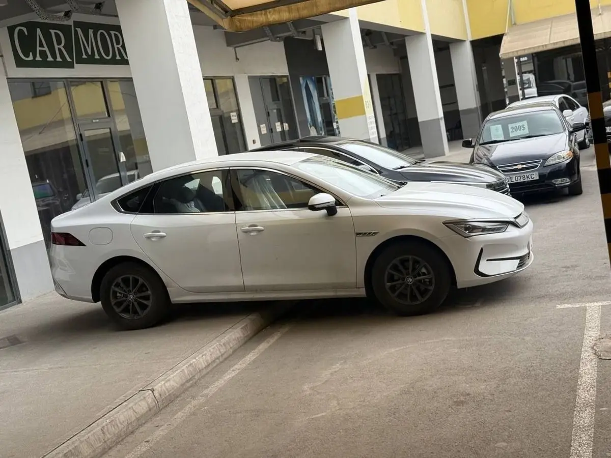 Byd Chin+Plus 3.300$ bilan