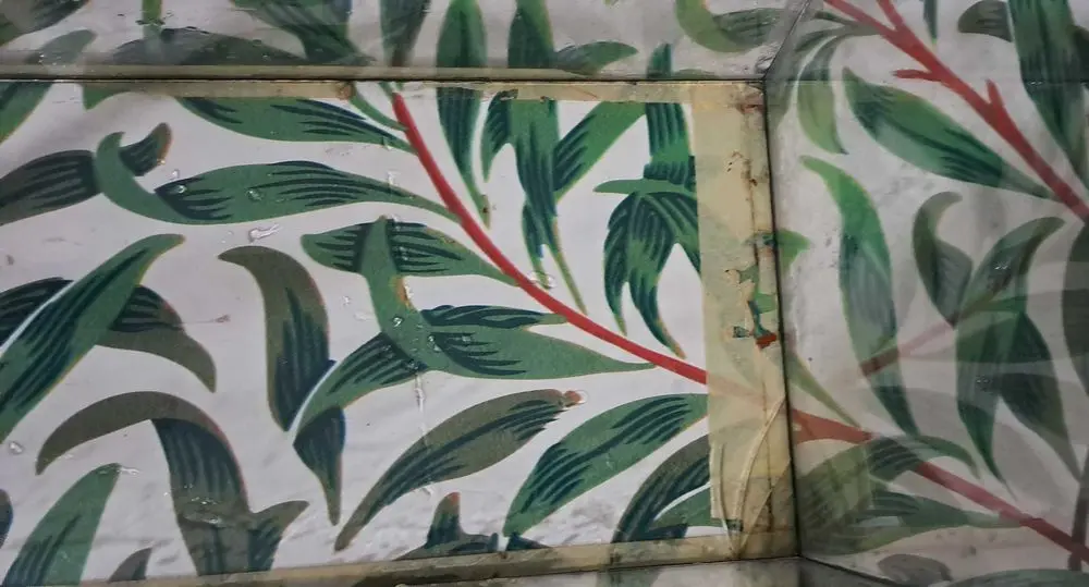 Аквариум террариум