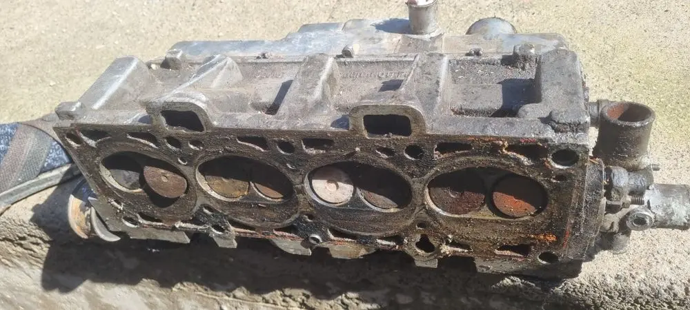 Галовка петнашка сотлади