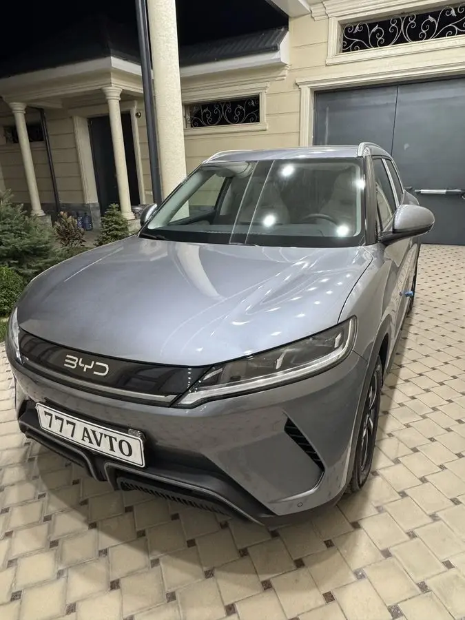 BYD Yuan Up 2025 yil 2000 probeg