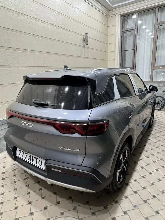 BYD Yuan Up 2025 yil 2000 probeg