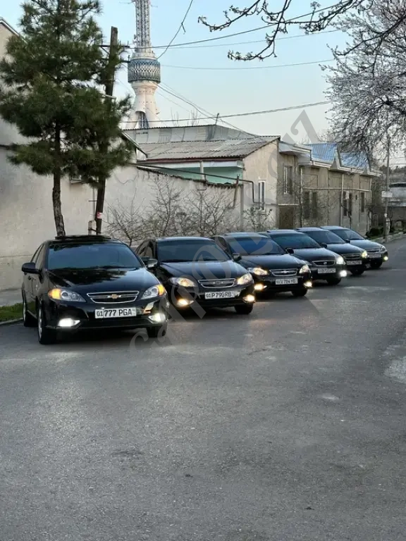 Qora jentrala bor 18-dan 22-yilgacha Narxlari arzon